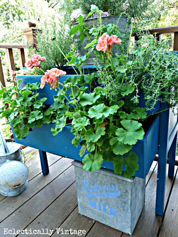 Dresser Planter - create your own for a bit of whimsy! kellyelko.com