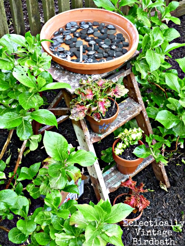 For the Birds – Stepladder Birdbath