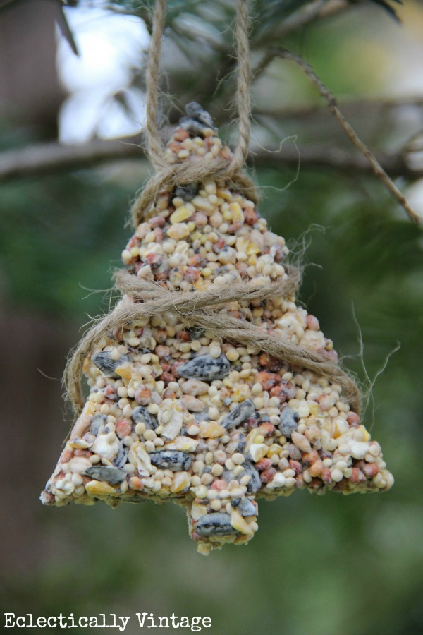 Love Birds – Making Simple Birdseed Ornaments