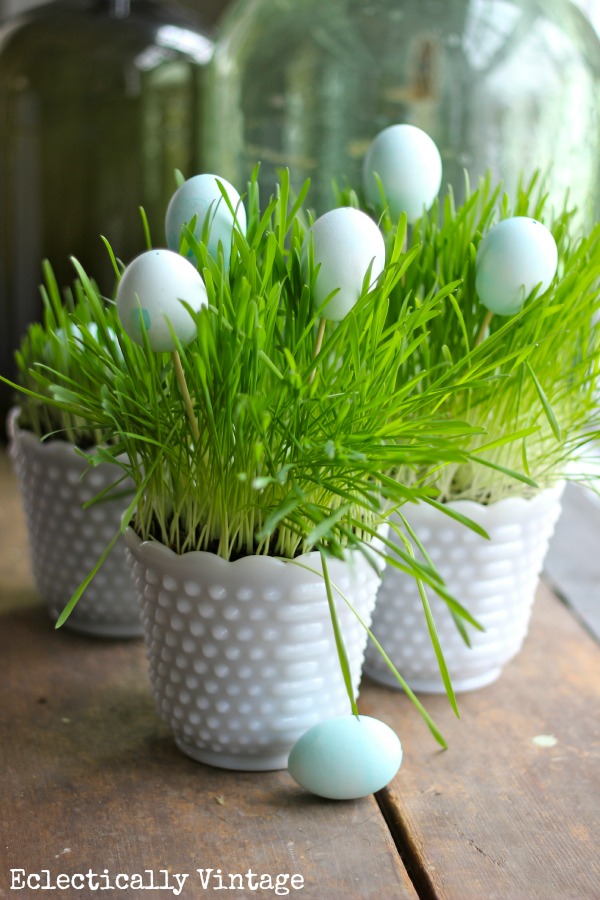 Grow Your Own Springtime Grass Centerpiece