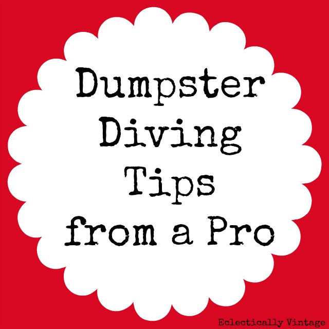 Dumpster Diving Tips from a Pro