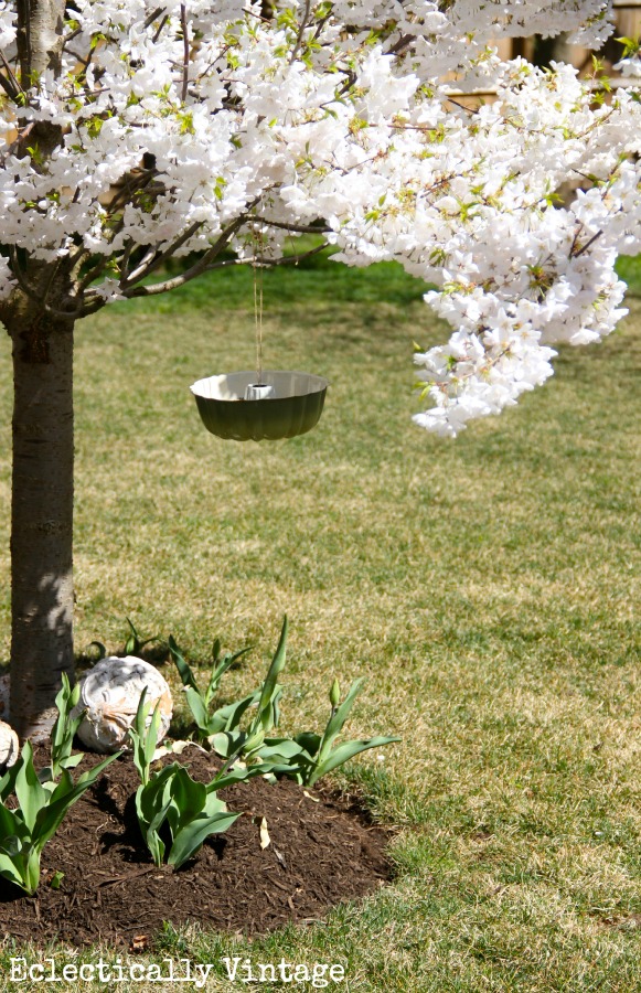 Birds are Flocking to my Bundt Pan Bird Feeder