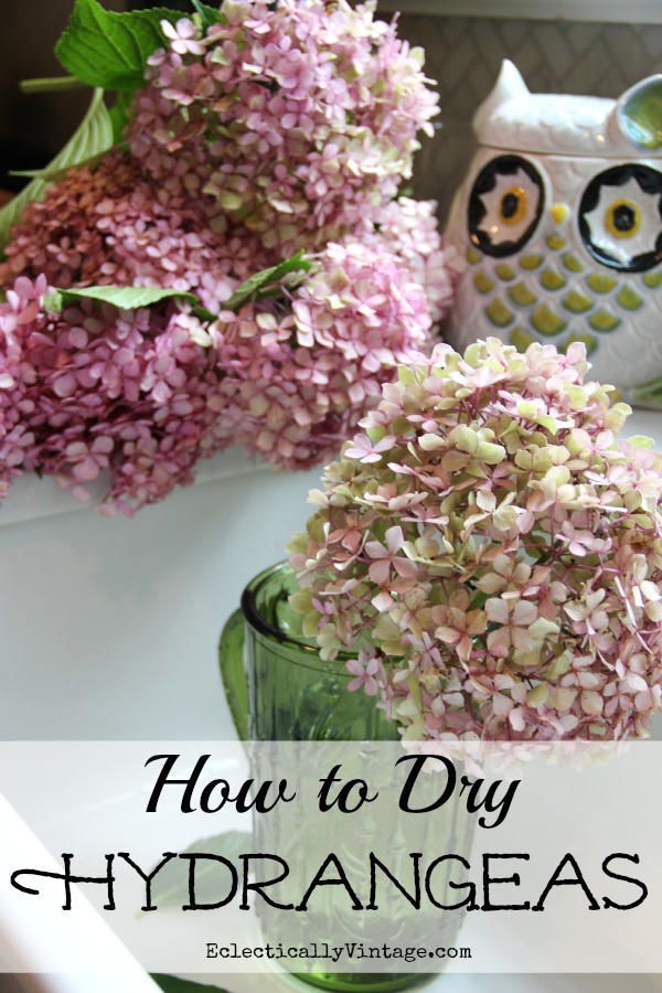 Drying Hydrangeas 101