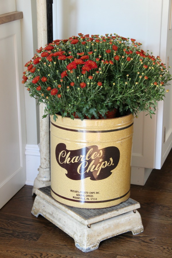 Love this vintage Charles Chips tin used as a fall planter kellyelko.com