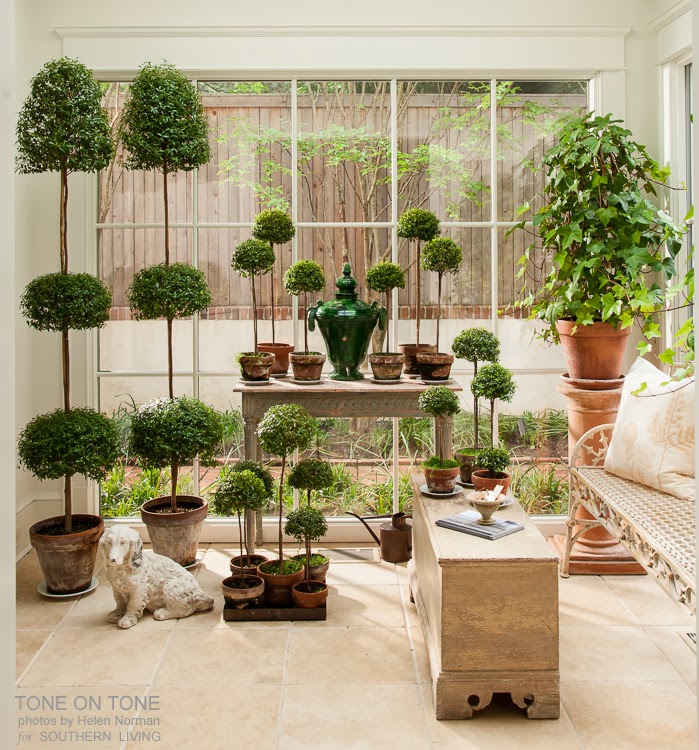 Conservatory filled with topiaries kellyelko.com