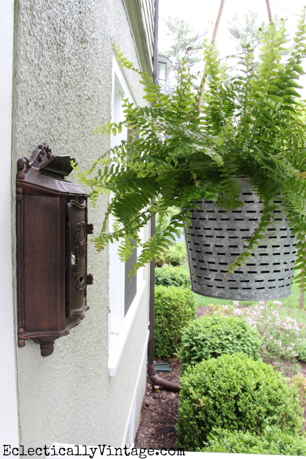 My Favorite Hanging Planter & Porch Ferns