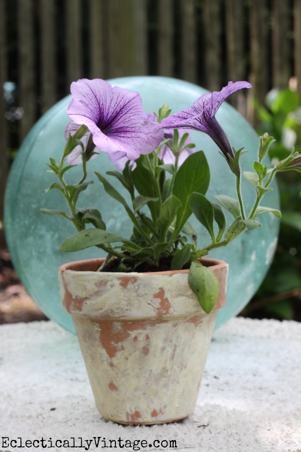 How to Age Terra Cotta Pots kellyelko.com