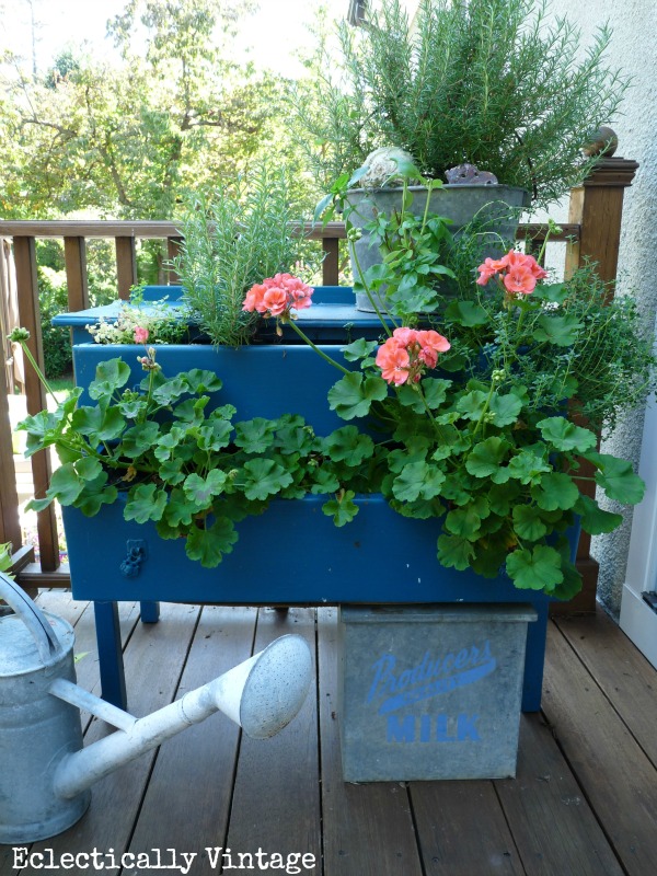 Simple Gardening Tips - love this DIY dresser planter filled with plants and herbs kellyelko.com #containergardening #thrift #vintagedecor #upcycle #repurpose #gardening #gardeningtips #greenthumb