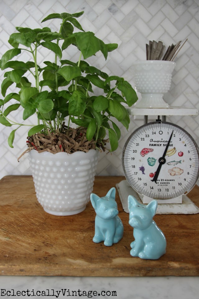 Tips on Dressing Up Supermarket Plants kellyelko.com