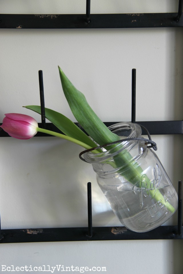 Creative Display Ideas for Wall Bottle Drying Rack