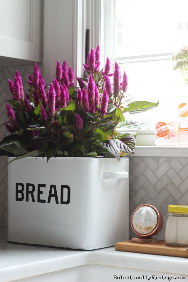 Natural fall decorating ideas - love this bread box planter with fall flowers kellyelko.com