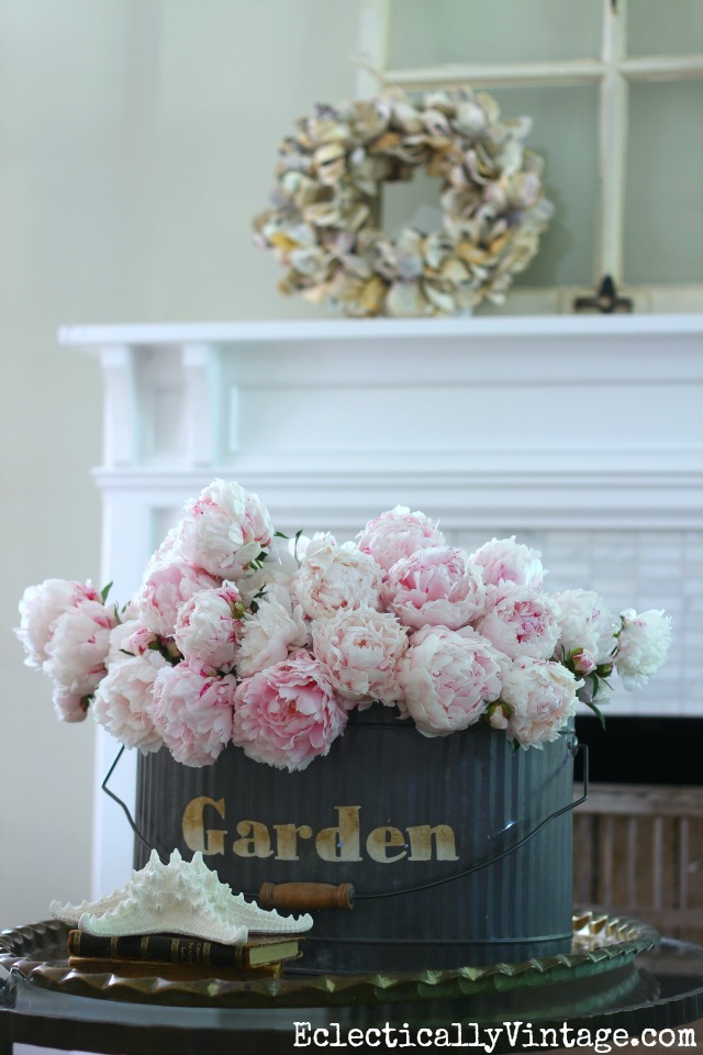 Simple Gardening Ideas - grow huge bouquets of peonies kellyelko.com #gardening #flowerarrangements #gardeningtips #gardens #vintagedecor #flowers #peonies 