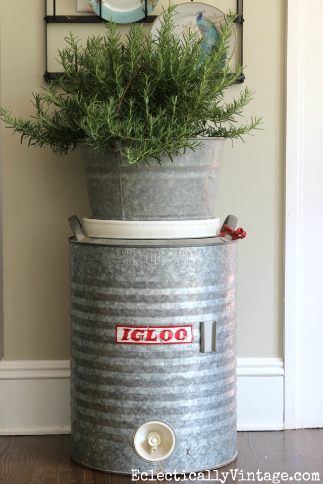 vintageigloowatercoolerplantstand Kelly Elko