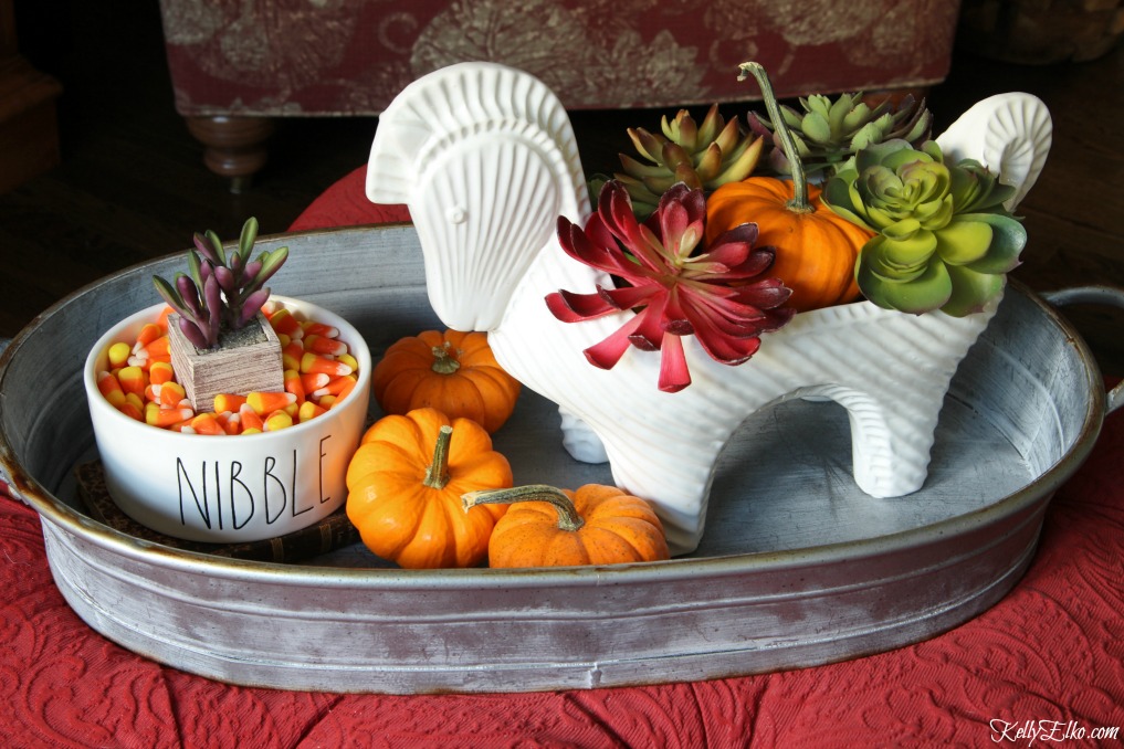 Love this cute horse planter filled with succulents and a pumpkin kellyelko.com