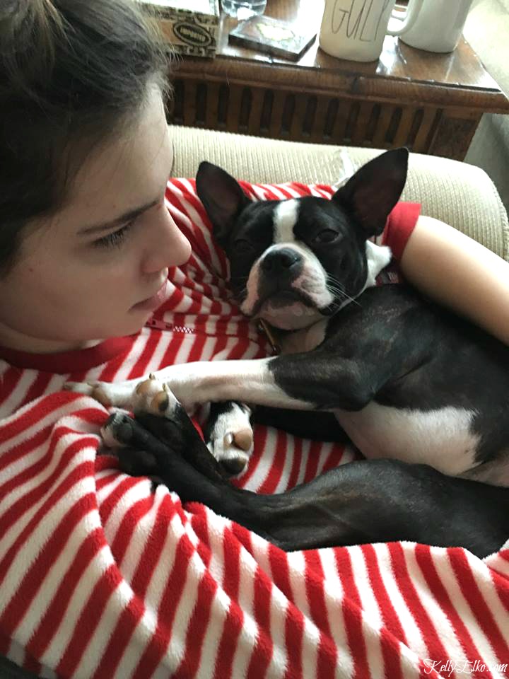 Love this cute Boston Terrier kellyelko.com