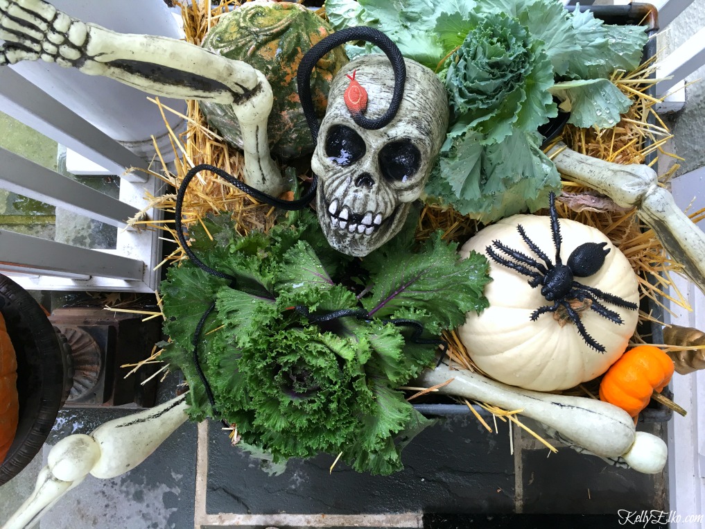 Love this skeleton planter with cabbage plants and pumpkins on this fun Halloween porch kellyelko.com #halloween #halloweendecor #skeleton #fallplanters #halloweenplanters #pumpkindecor 