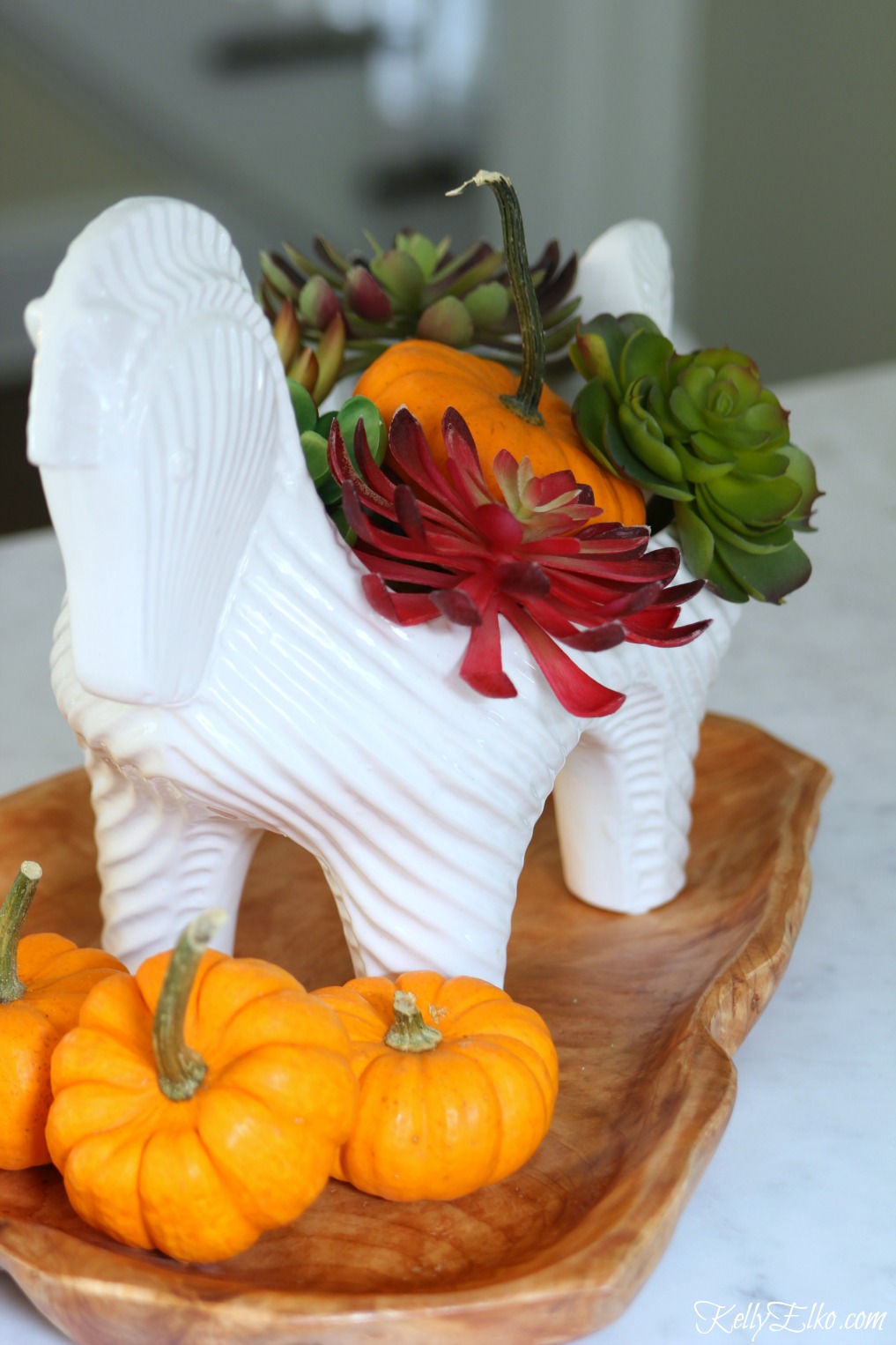 pumpkin-succulent-mid-century-planter