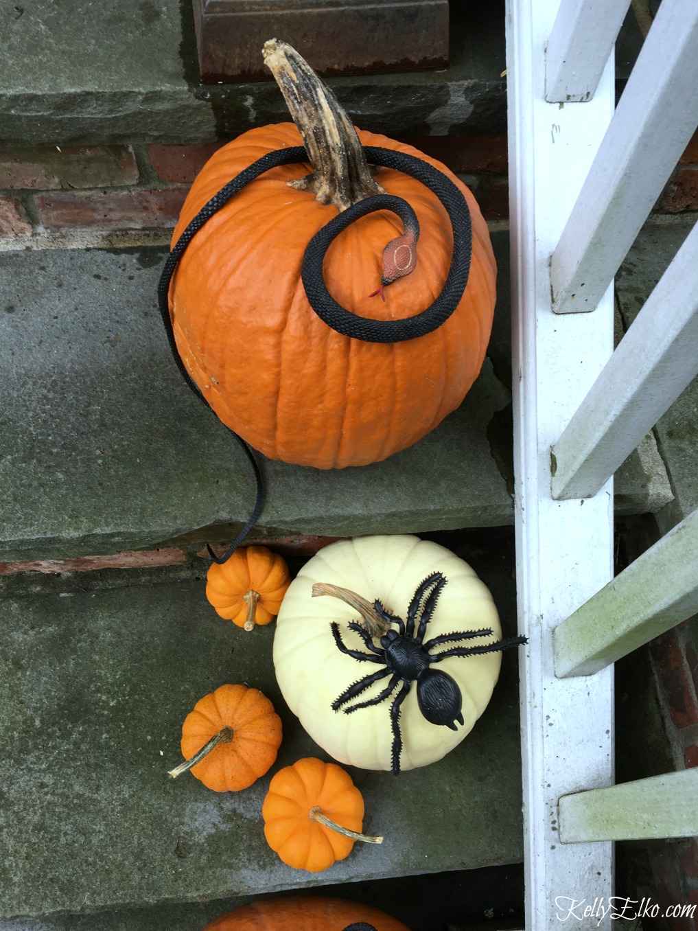 Add plastic snakes and spiders to pumpkins for Halloween kellyelko.com #halloween #halloweendecor #halloweenporch #falldecor #pumpkin #pumpkindecor