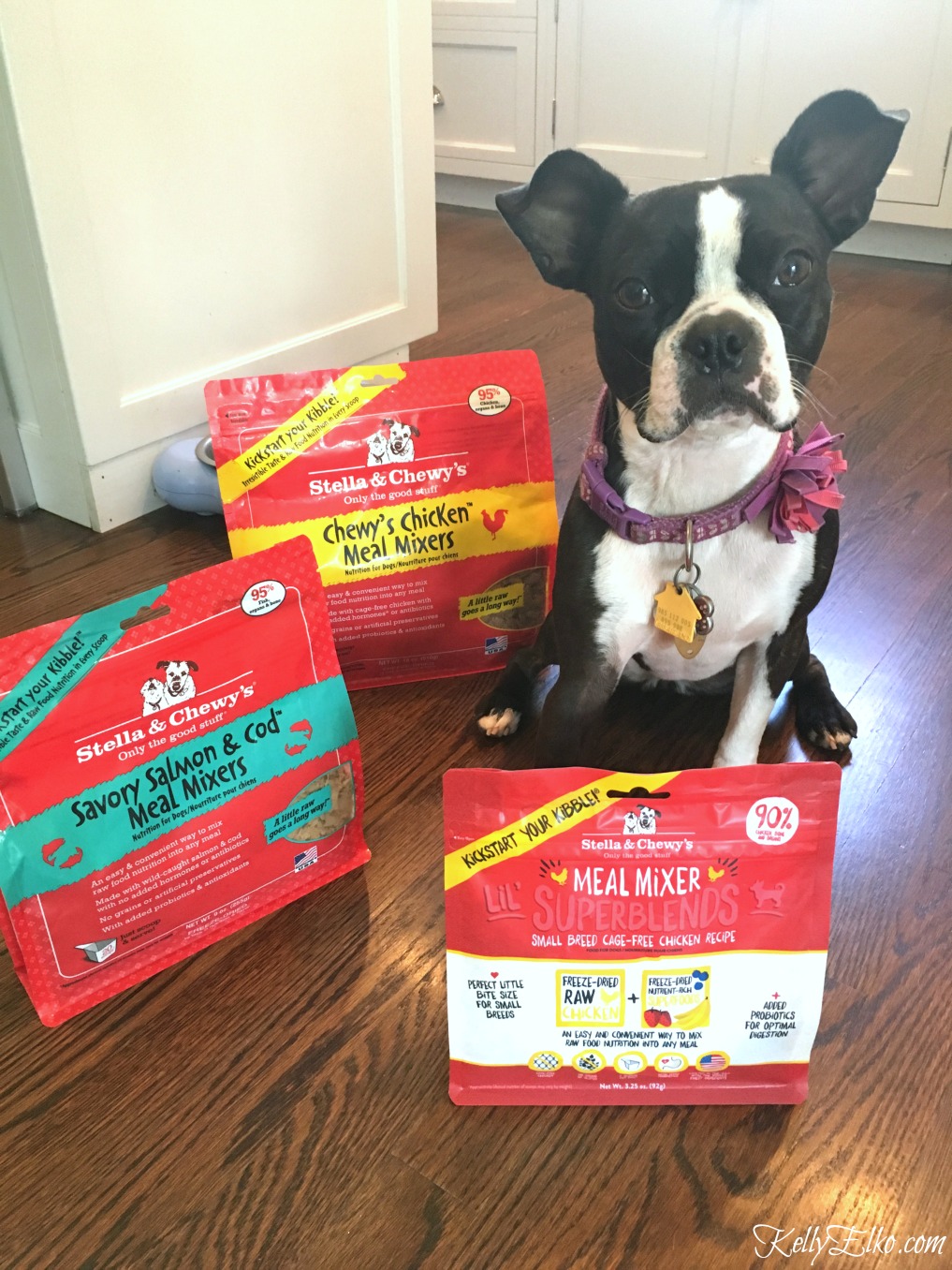 Stella & Chewy's Dog Food - I love this 100% organic raw food to keep my dog healthy! kellyelko.com