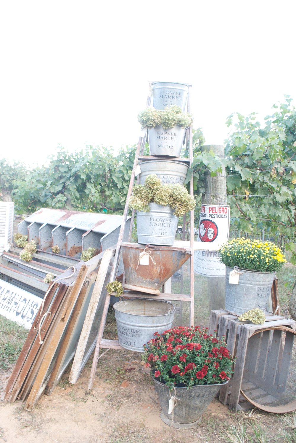 Love the ladder stacked with galvanized buckets