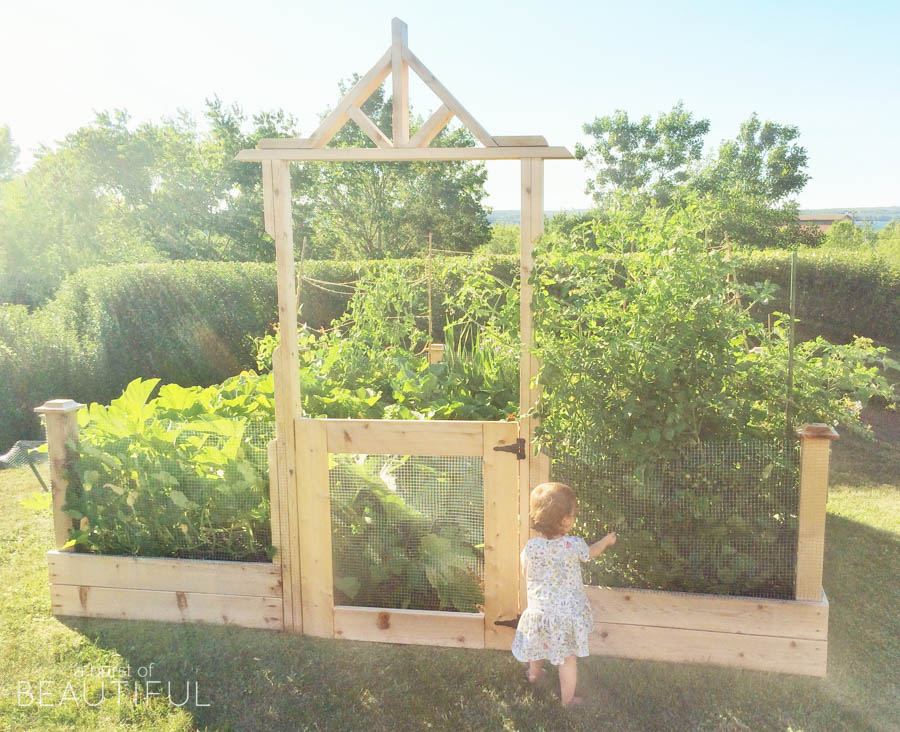 DIY square foot gardening - this is so cute - I love the little door