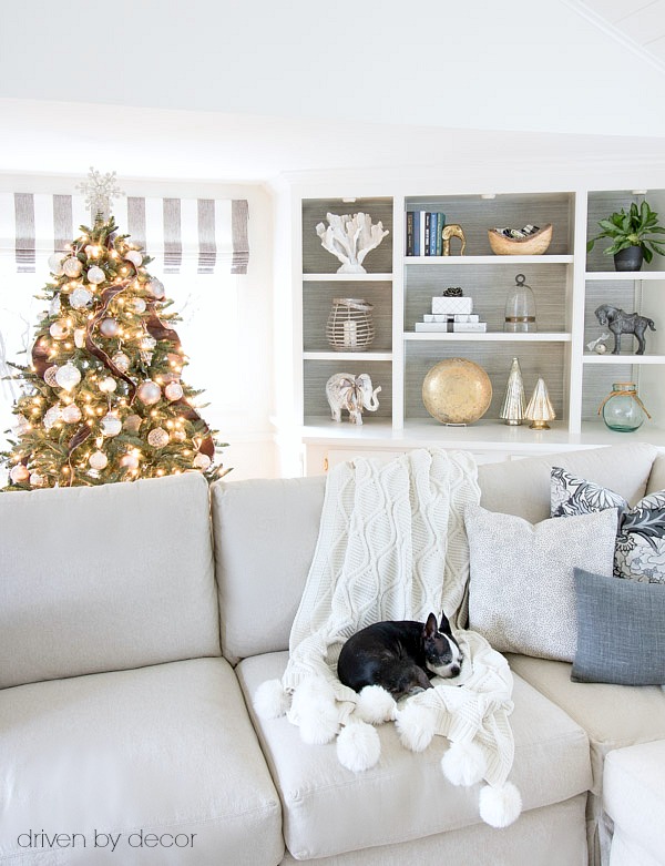 Blogger Christmas Pets and their Festive Homes