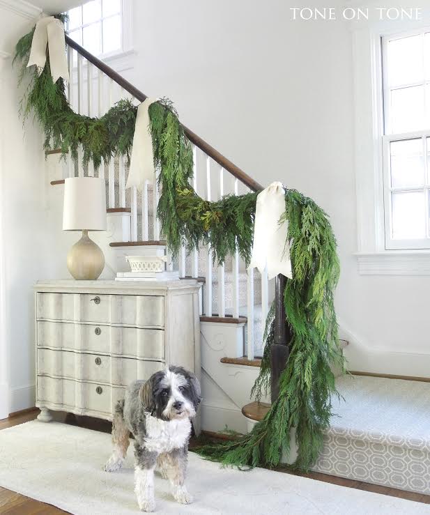 Blogger Christmas Pets and their Festive Homes 