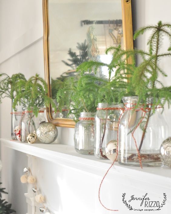 Mini trees in jars - use them for Christmas then plant them in spring