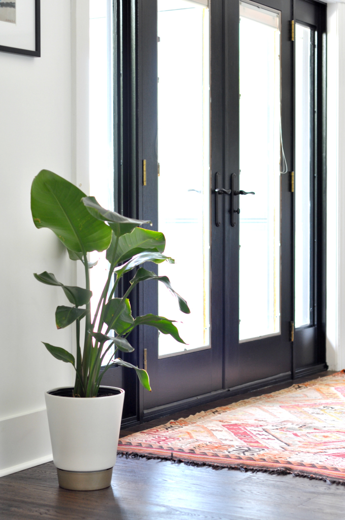 Black interior doors add drama against white walls 