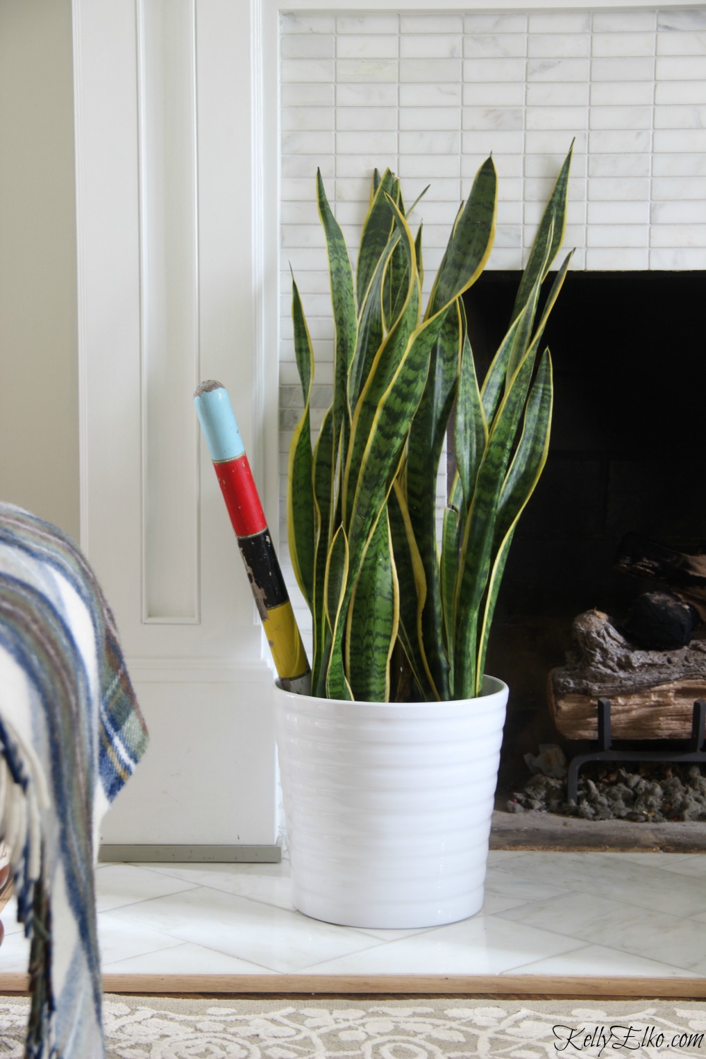 Add an easy to care for snake plant to your house kellyelko.com