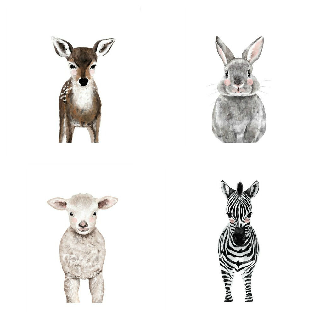 Gallery Wall Ideas - Love these baby animals kellyelko.com