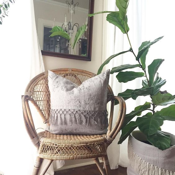 Wicker chair and fiddle leaf fig in woven basket kellyelko.com