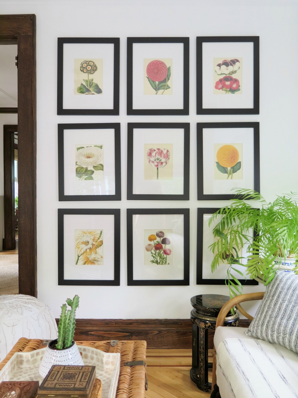 Vintage botanical gallery wall 