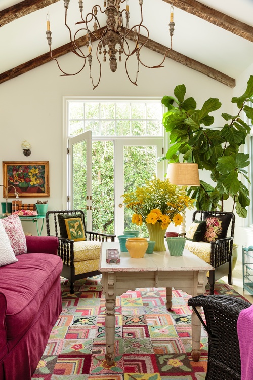 Colorful sun room with giant chandelier and fiddle leaf fig