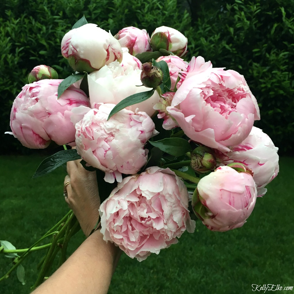 Peonies! Love this big bouquet kellyelko.com #printable #freeprintable #freeart #peonies #peony #springflowers #bouquet #pinkflowers 