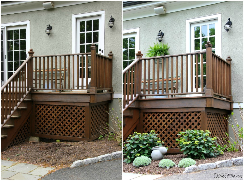 Before and after deck landscaping - Endless Summer hydrangeas are the perfect choice for a pop of color from spring through fall kellyelko.com