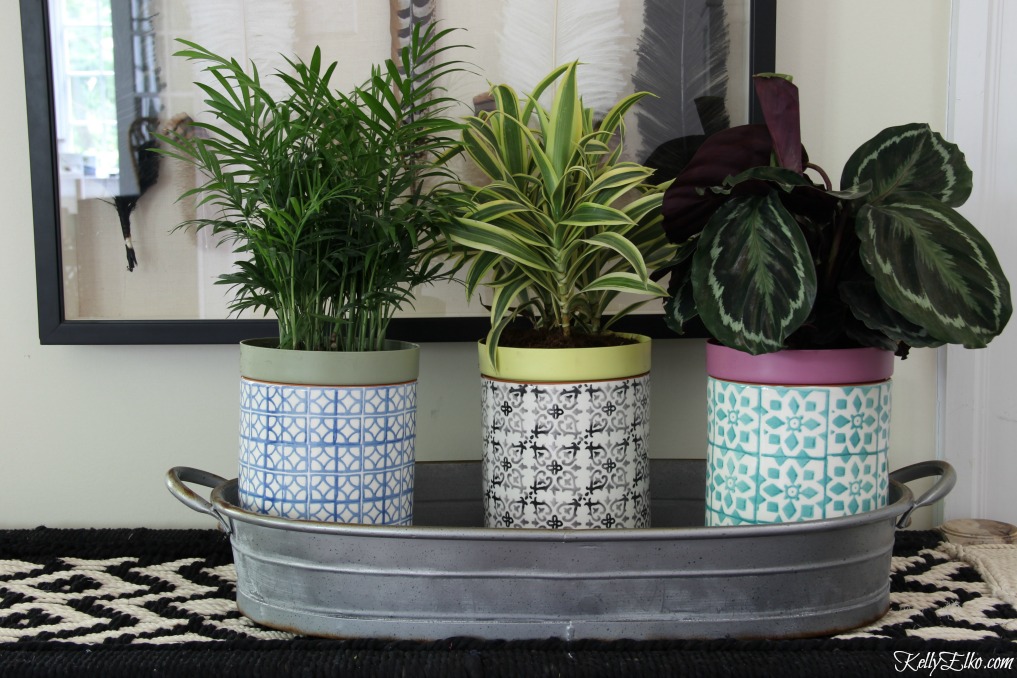 Love this trio of houseplants in colorful planters kellyelko.com