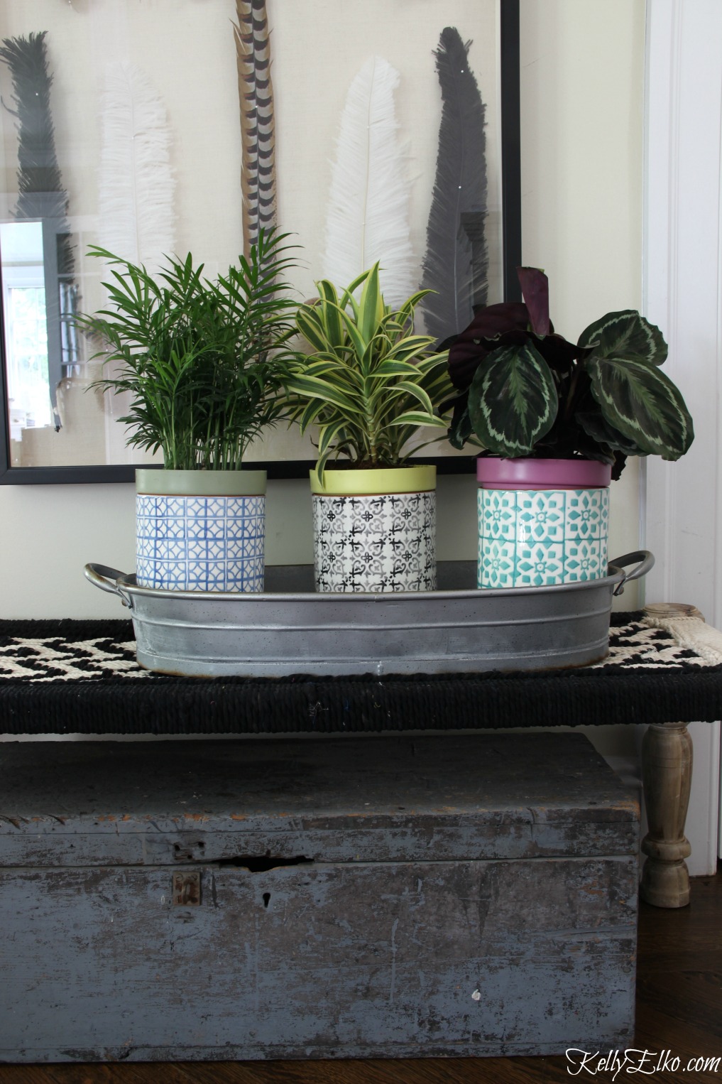 Love this trio of indoor houseplants in colorful pottery kellyelko.com