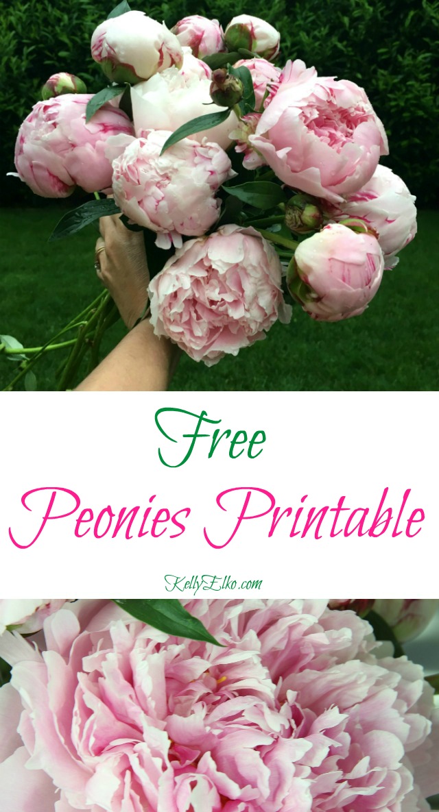 Free Peonies Printable - print and frame this stunning bouquet of peonies kellyelko.com