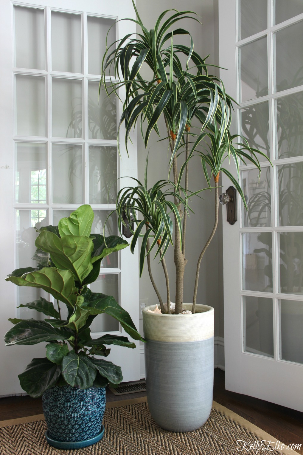 Fiddle leaf fig and palm tree - can you tell which on is faux kellyelko.com