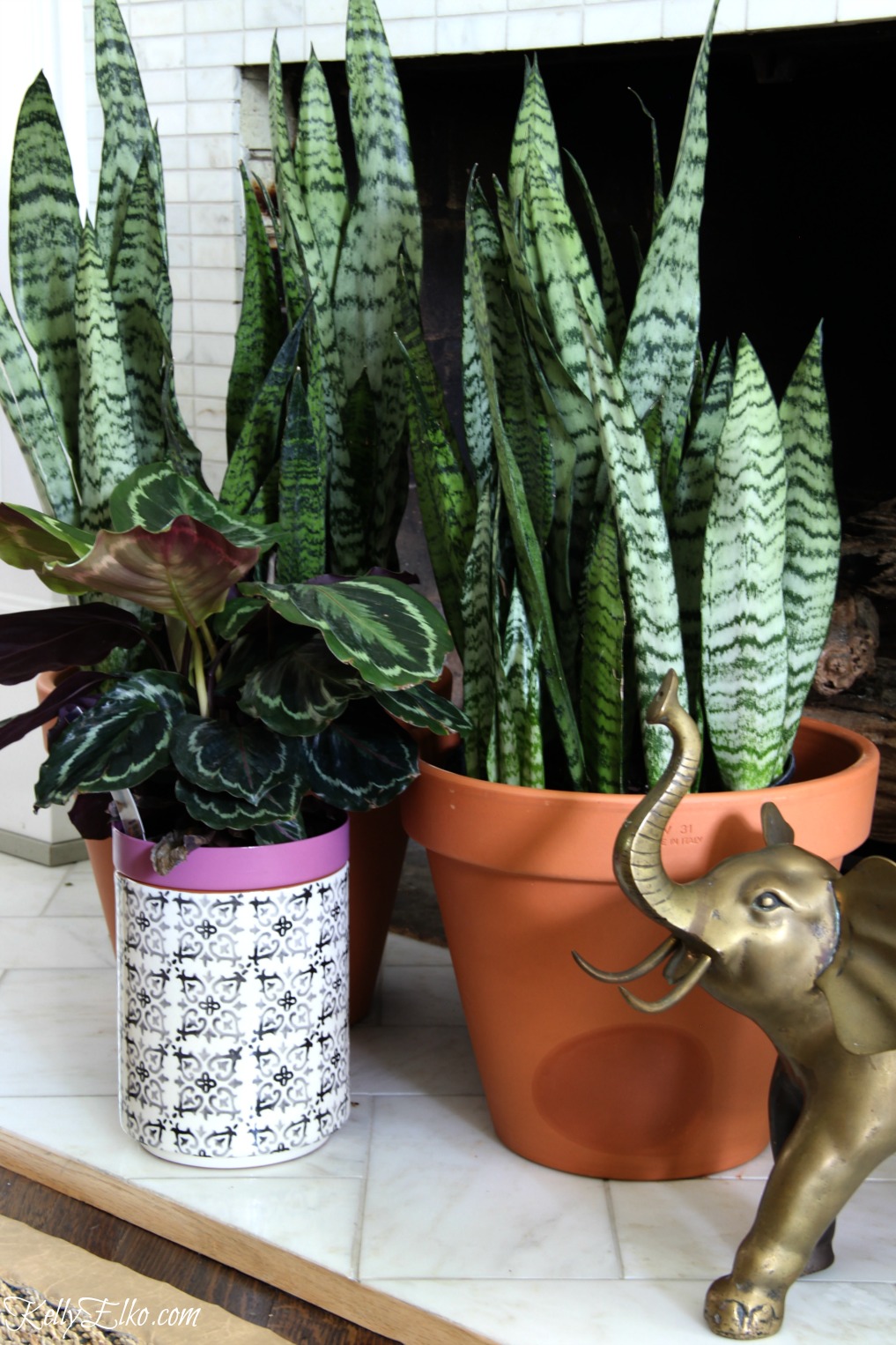 Plants in front of the fireplace add interest in warm months and these snake plants are easy care low maintenance kellyelko.com