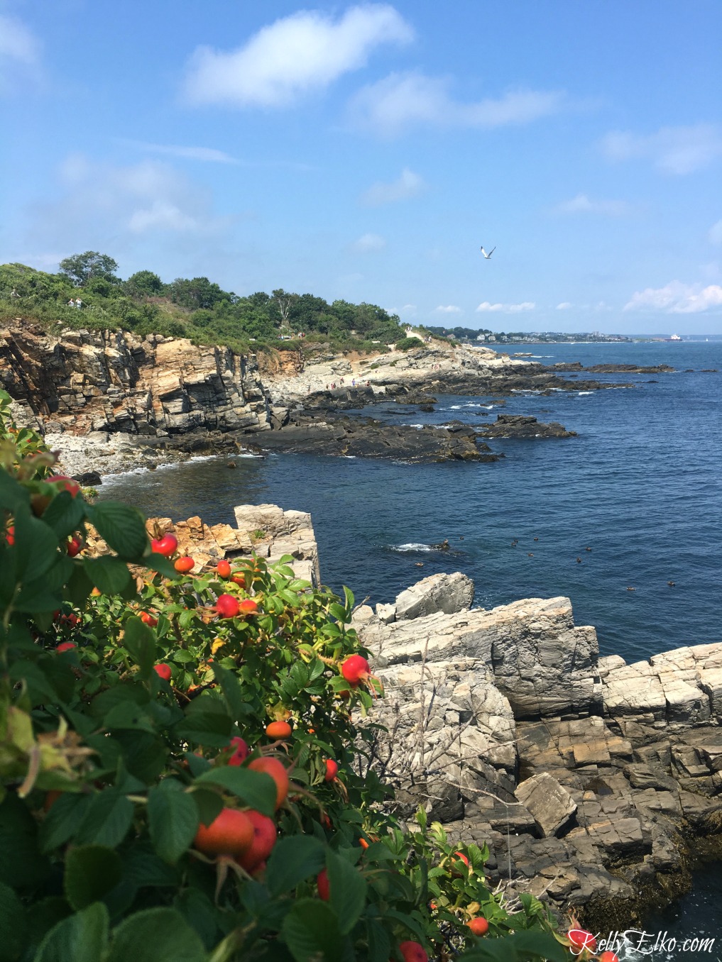 Rocky coastline of Maine kellyelko.com