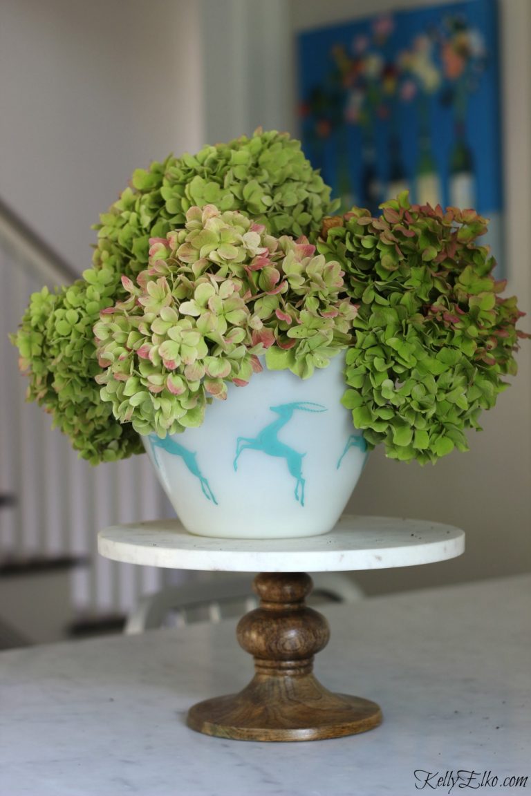 Fall Tips for Cutting and Drying Hydrangeas