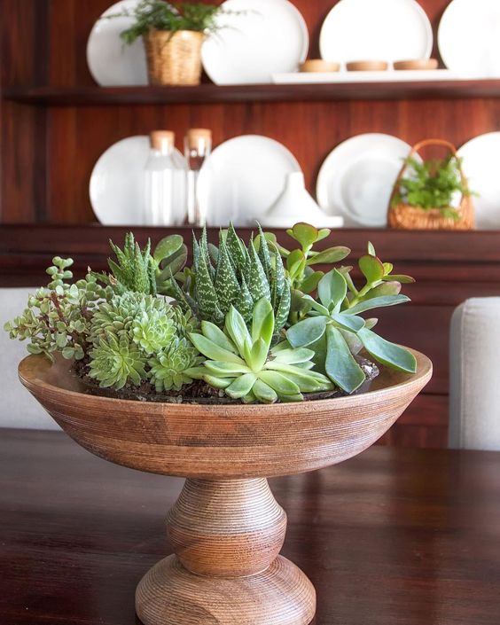 Bowl of succulent centerpiece kellyelko.com