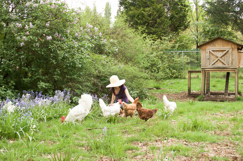 Farmhouse tour complete with chicken coop