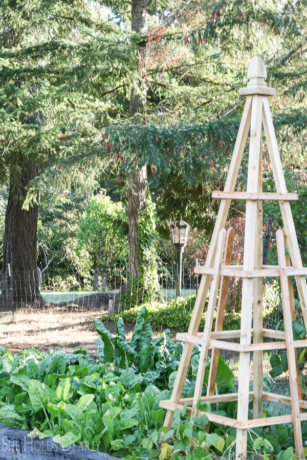 Farmhouse tour - love the gorgeous garden