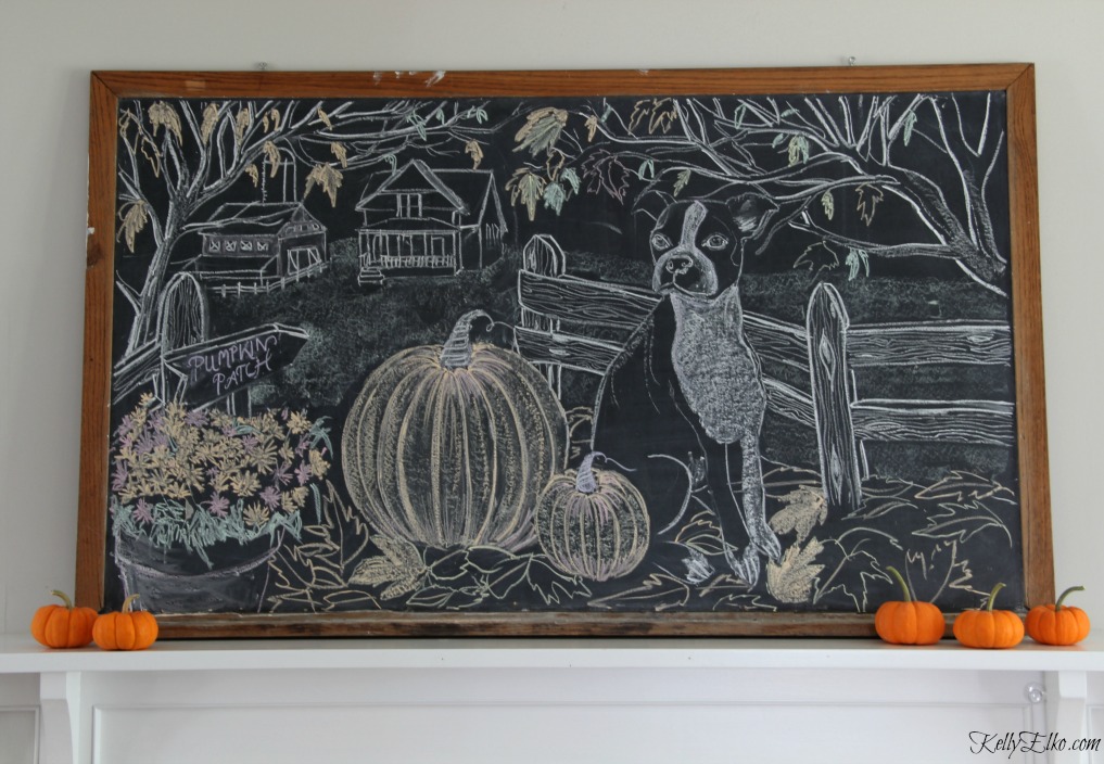 Fall chalkboard art - how cute is the Boston Terrier kellyelko.com