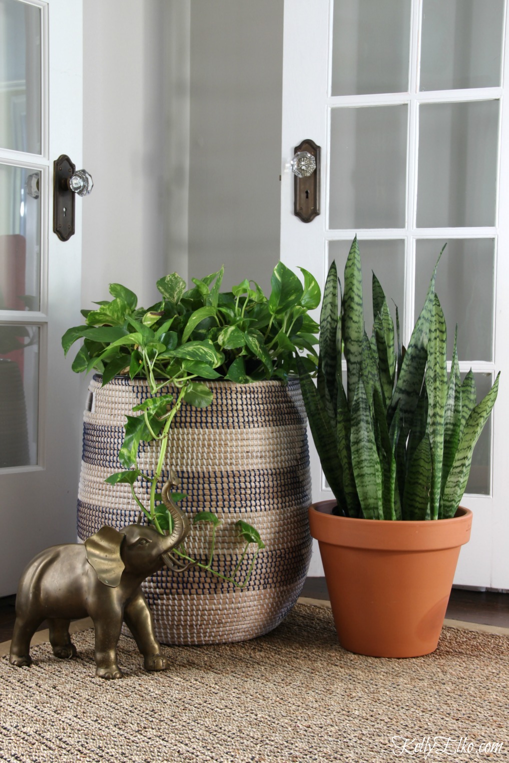 Pothos and snake plants are low maintenance and add life to this living room kellyelko.com