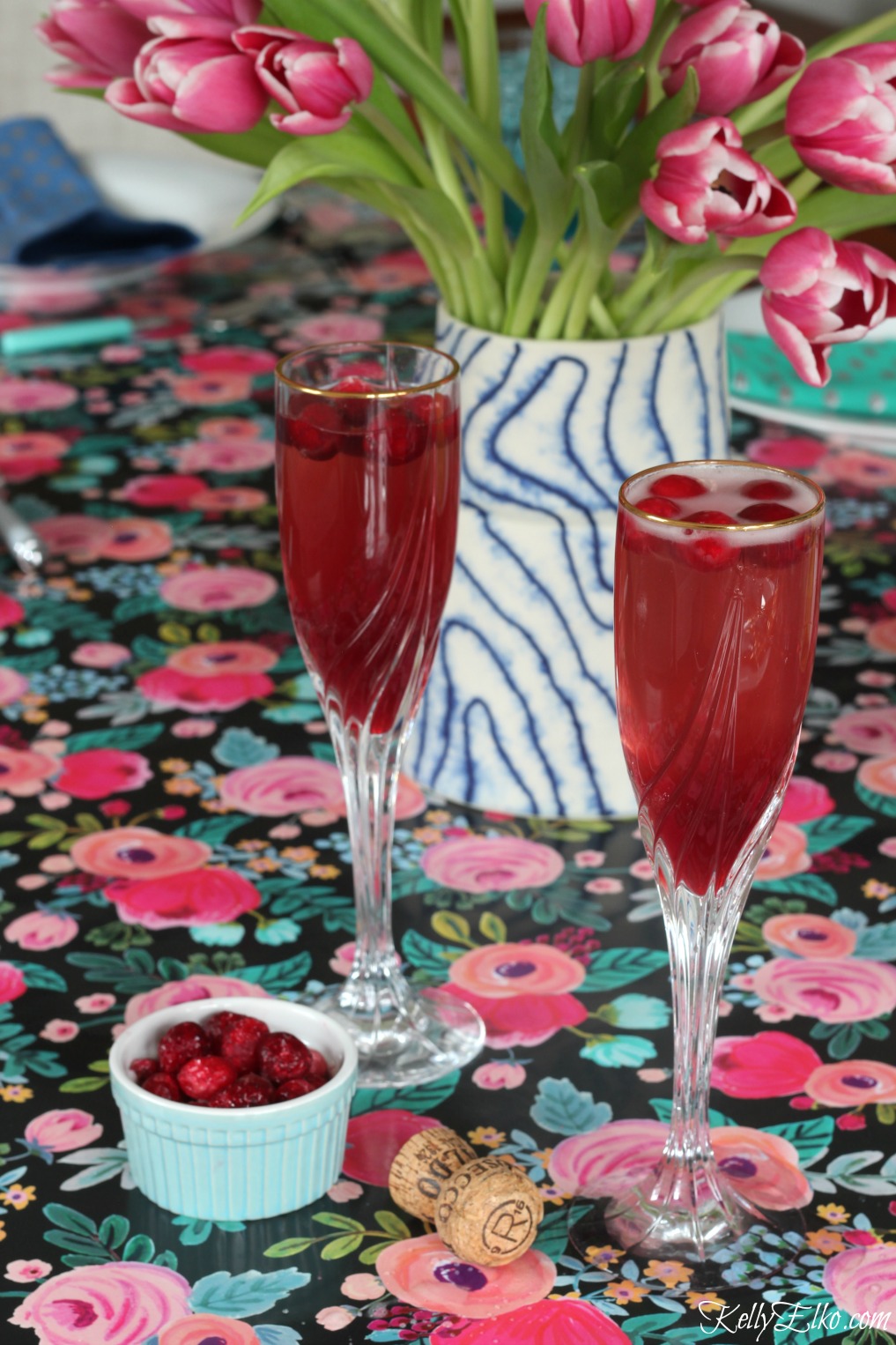 It’s 5 o’Clock Somewhere – Cranberry Fizz Cocktail