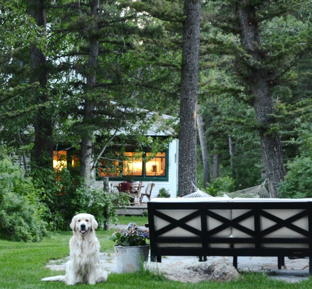 Eclectic Home Tour of Sanctuary Home - welcome to Crow Hollow Ranch. This 500 acre property is complete with farmhouse, guest house and rustic cabin kellyelko.com #hometour #cabin #rusticdecor #barnwood #whitekitchen #homedecor